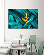 Obraz Strelícia 1958